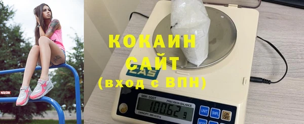 ECSTASY Инсар