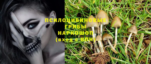 mix Каменка